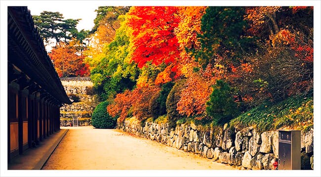 釜山樂天,樂天世界,樂天,釜山樂天探索樂園