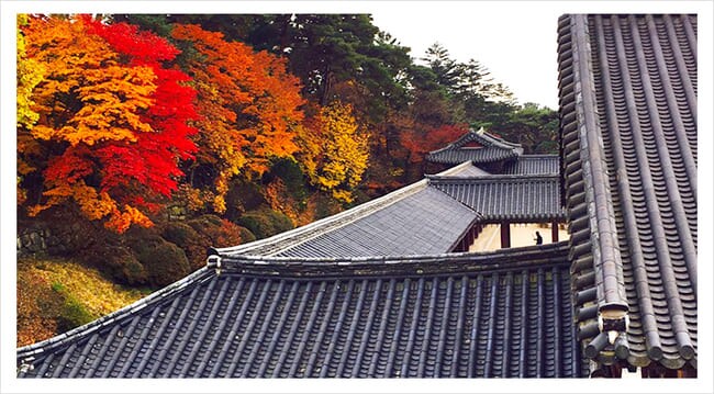 釜山樂天,樂天世界,樂天,釜山樂天探索樂園