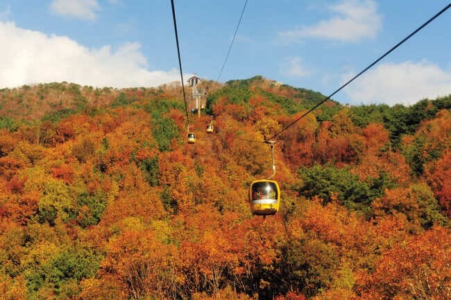 釜山樂天,樂天世界,樂天,釜山樂天探索樂園