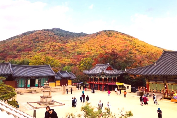 金井山梵魚寺