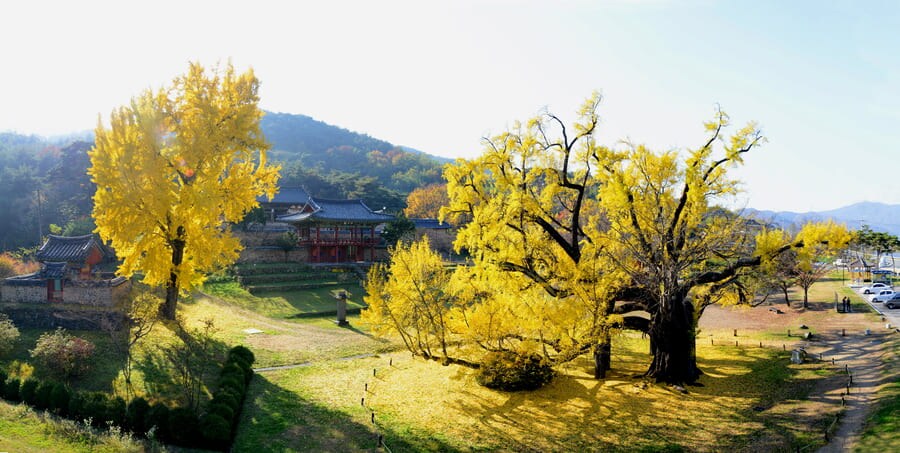 韓服遊校村