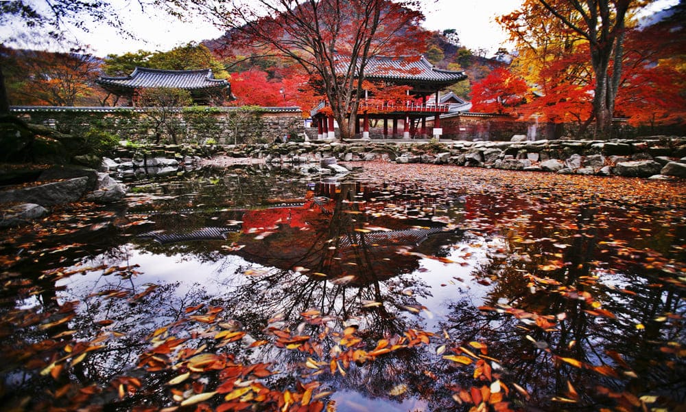 白羊寺