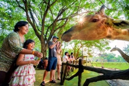 綠山動物園(遊園車+草食動物餵食)