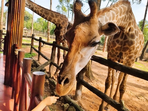 珍珠野生動物園