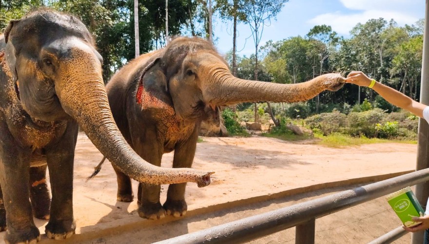 珍珠野生動物園-圖片