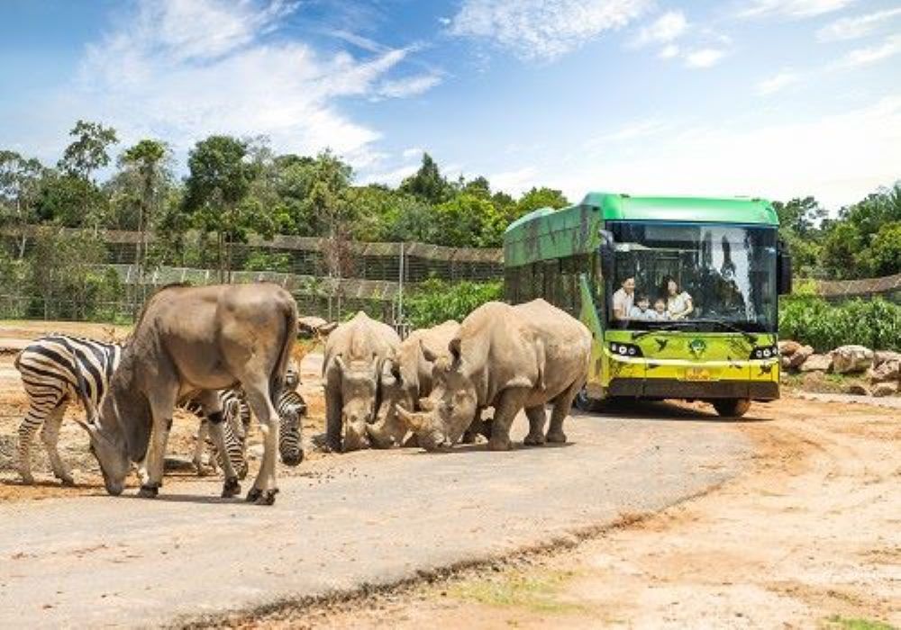 【富國島SAFARI野生動物園】